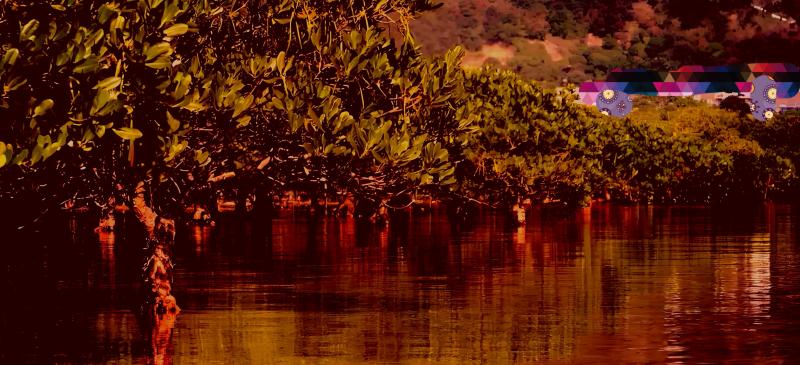 1759849952694680.jpg 图片2.jpg