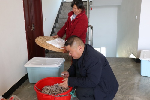 1765791897912051.jpg 检查柿饼_副本.jpg