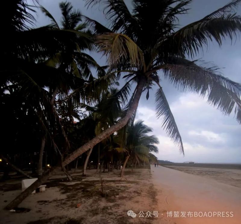 1768282272734514.jpg 640 (3)(1).jpg